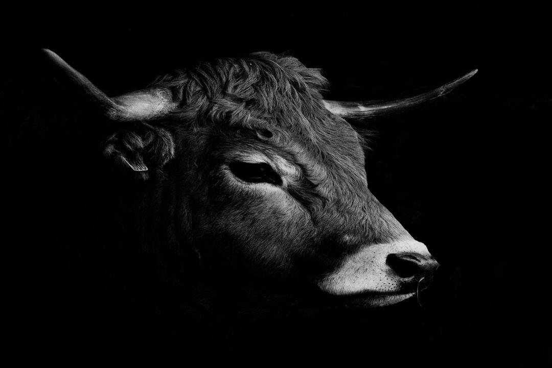Bull Call Spread lucrando com alta moderada